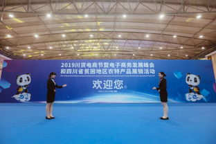 2019川貨電商節暨電子商務發展峰會 以技術開發為引擎，推動川貨走向世界