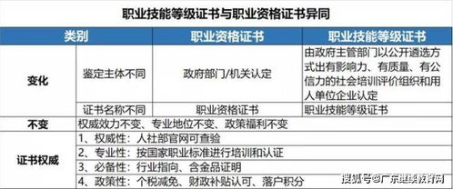 廣東省電子商務師職業技能等級證書與國家職業資格證書 異同解析與技術開發應用